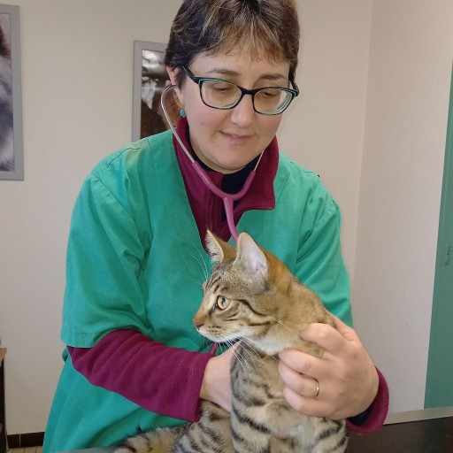 Lydie Briotet-Coulon